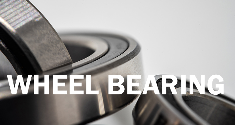 HSC Ceramic Wheel Bearing