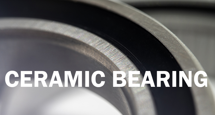 HSC Ceramic Bearing